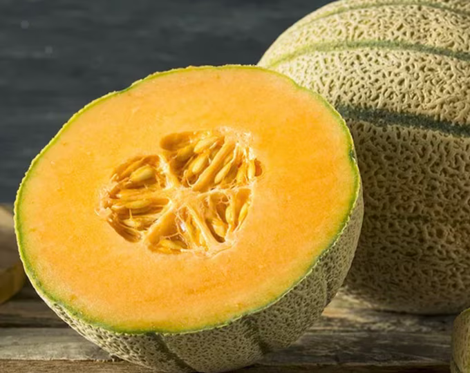 Honey Rock Melon